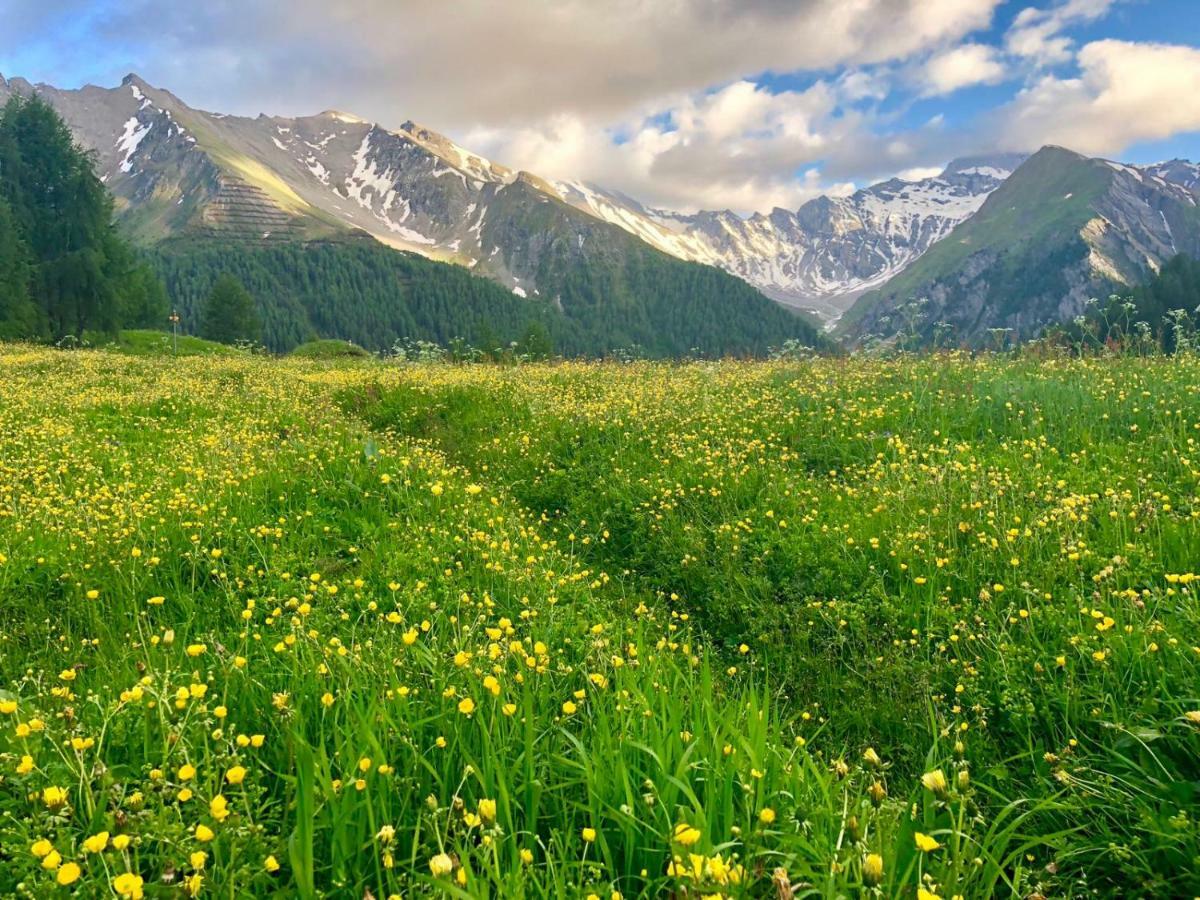 Relais & Chateaux Chasa Montana 萨姆瑙恩 外观 照片